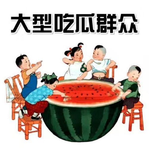 娱乐吃瓜自我介绍大全 第3张 娱乐吃瓜自我介绍大全 第3张
